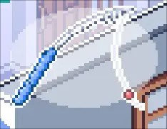 寻找夏日的宝物