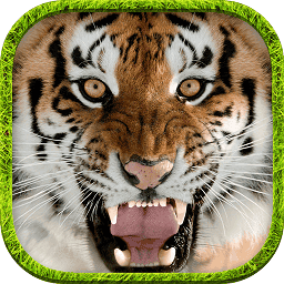 终极美高梅4688集团am模拟器官方版下载-终极模拟美高梅4688集团am游戏手机版下载 v1.5 安卓版